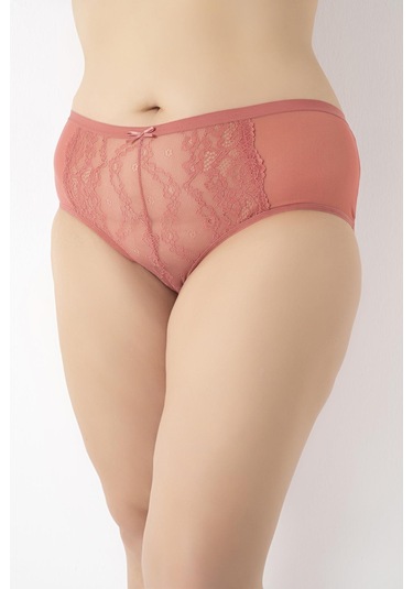 Kadın Büyük Beden Dantelli 4'lü Paket Külot Asorti-2 C4t0n5o408 001