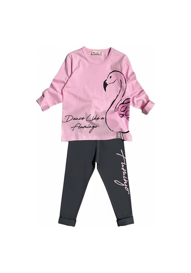 Flamingo Desenli Pembe Renk Kız Çocuk Mevsimlik Taytlı Takım Pembe