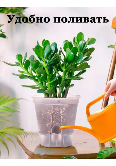 Saburg Tabandan Sulamalı Orkide Saksısı 2 Ad 368352992