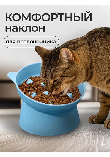 Vektorı Kedi Kabı 391740897