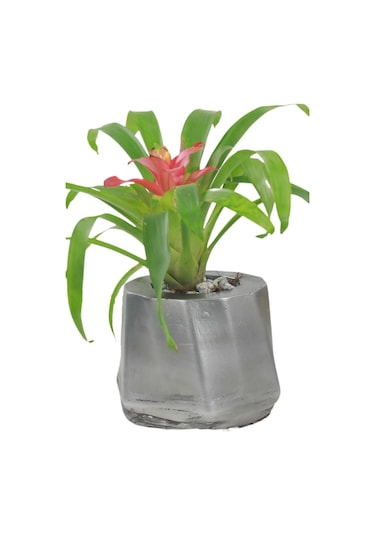 Saksı Çiçek Kaktüs Saksısı Lüx 15 Cm Kalın Çizgili Desen Saksı Çiçeklik - Gümüş Eskitme