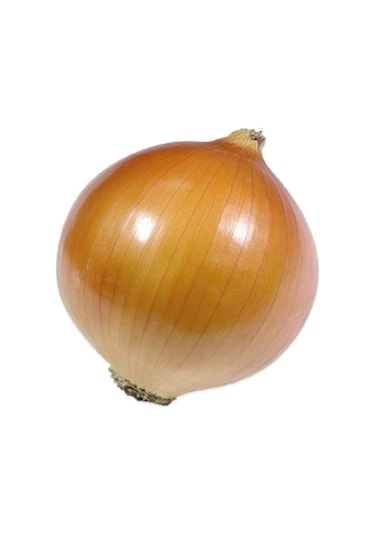 Yerli Sarı Soğan Tohumu 10 GR Ort 2500 Ad Tohum N111560