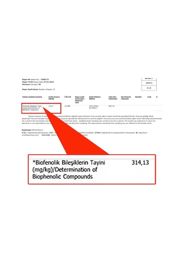 İzorya Yüksek Polifenollü Zeytinyağı 300+ Plus 250 ML