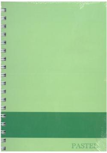 Elma 17 24 120 Yap Pastel Defter Çizgisiz Açık Yeşil