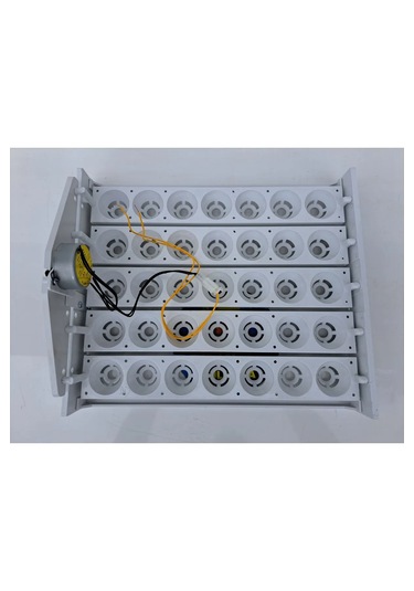 Mh 35'lik Otomatik Kuluçka Gelişim Viyolü 37x31,5x13,5