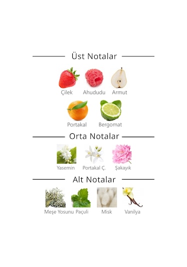 Royal Club De Polo Barcelona Pasion Kadın Parfüm EDT 50 ML