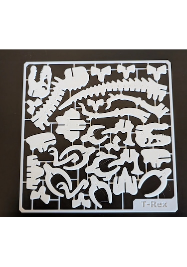 T-rex İskelet Kit Kart