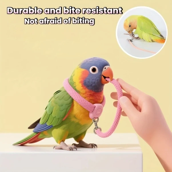 Elmpaly 78,74 İnç 3 Parça Mavi Papağan Tasma Seti - Esnek Lastik Kayış, Hafif Kuş Uçuş Göğüs Askısı