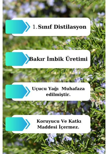 Biberiye Suyu 300 Ml - 3 X 100ml Sebum/yağ Dengeleyici Tonik