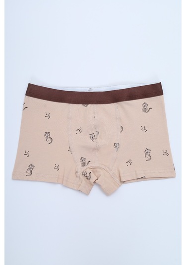 Toontoy Erkek Çocuk Çok Desen Baskılı 4lü Paket Boxer Çok Renkli