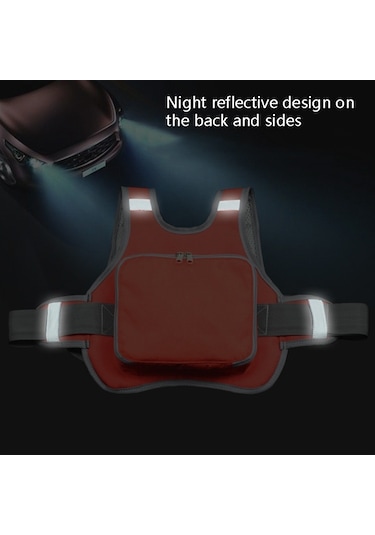 Cbtx Global MTBD1063 Çocuk Elektrikli Motosiklet Emniyet Kemeri Siyah