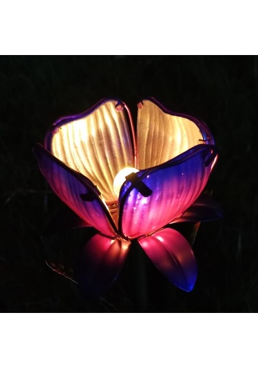 Ebitda Mor/sarı Güneş Enerjili Bahçe Lambası - Ip55 Koruma