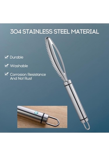 Çok İşlevli Paslanmaz Çelik Balık Pulları Kazıyıcı, Temizleme Kiti - Ev Pazar Restoran İçin 1 Adet Diğer