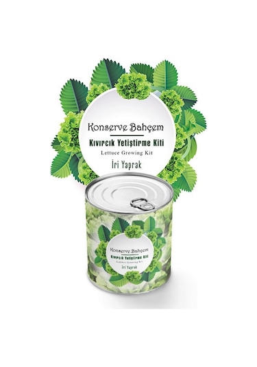Konserve Bahçem Konserve Bahçem Evde Konservede İri Yapraklı Kıvırcık Yetiştirme Kiti