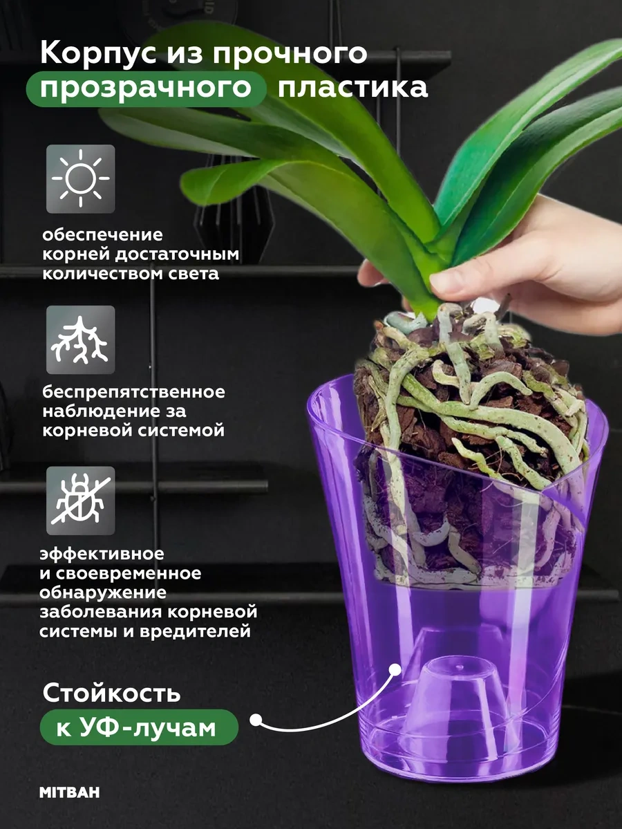 Mıtbah Şeffaf Saksıda Orkide Saksısı 2 Adet 74247174