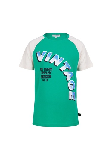 Brz Kids Reglan Kollu Baskılı Erkek Çocuk Kısa Kollu T-Shirt Yeşil