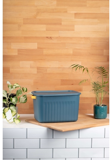 Finehome Boxy Çok Amaçlı Kutu 15lt Mavi