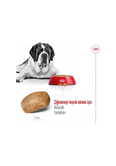 Royal Canin Giant Dev Irk Yetişkin Köpek Maması 15 KG