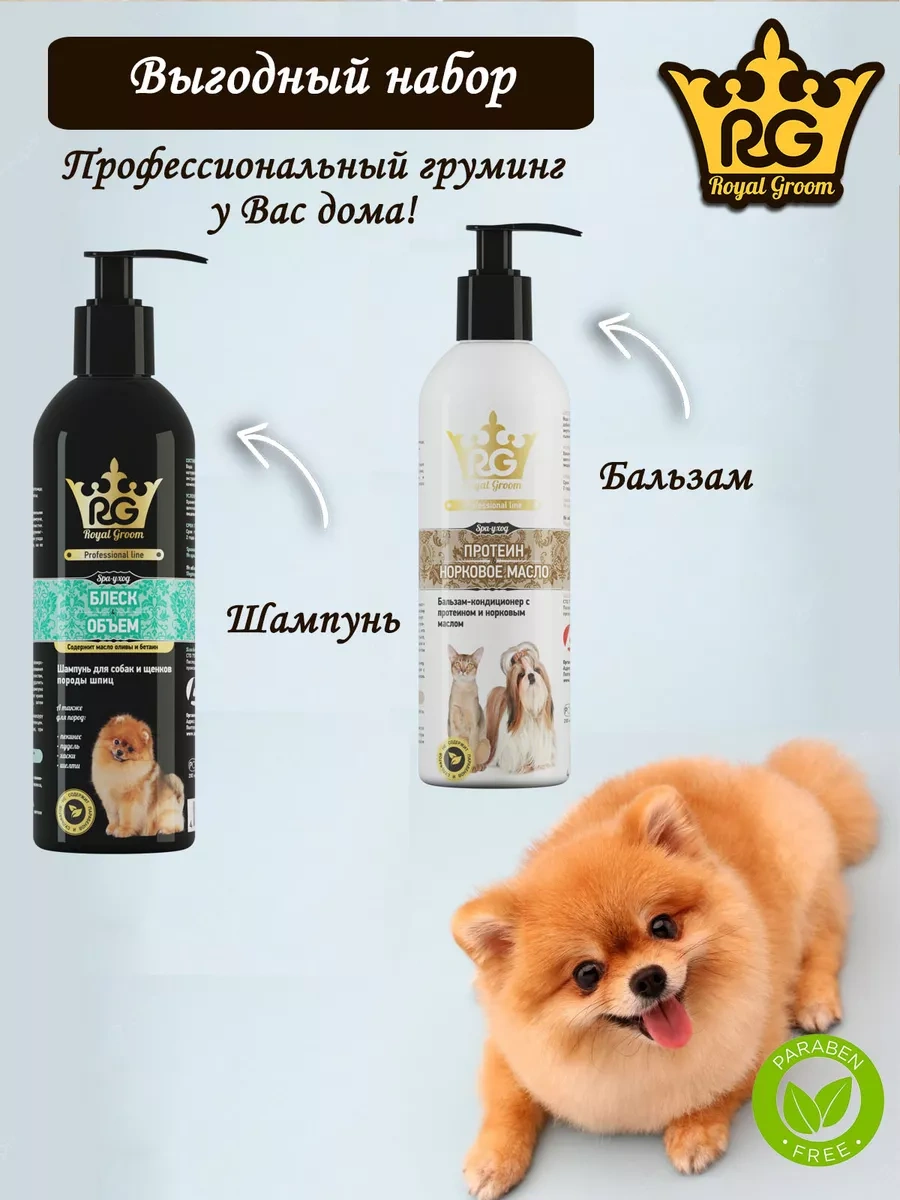 Apicenna Royal Groom Şampuan Ve Saç Kremi Pomeranian İçin 191248917