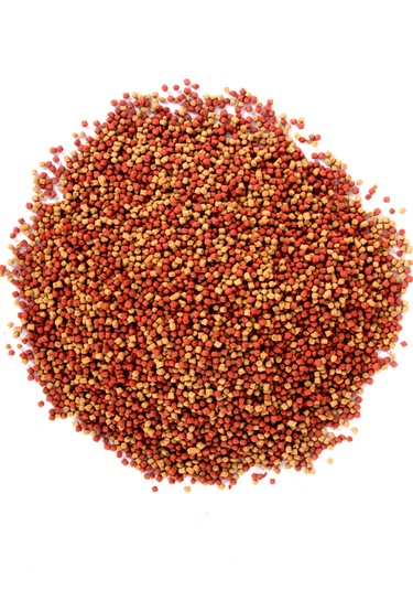 Lotus Topçuk Poşet Japon Balık Yemi 860 G