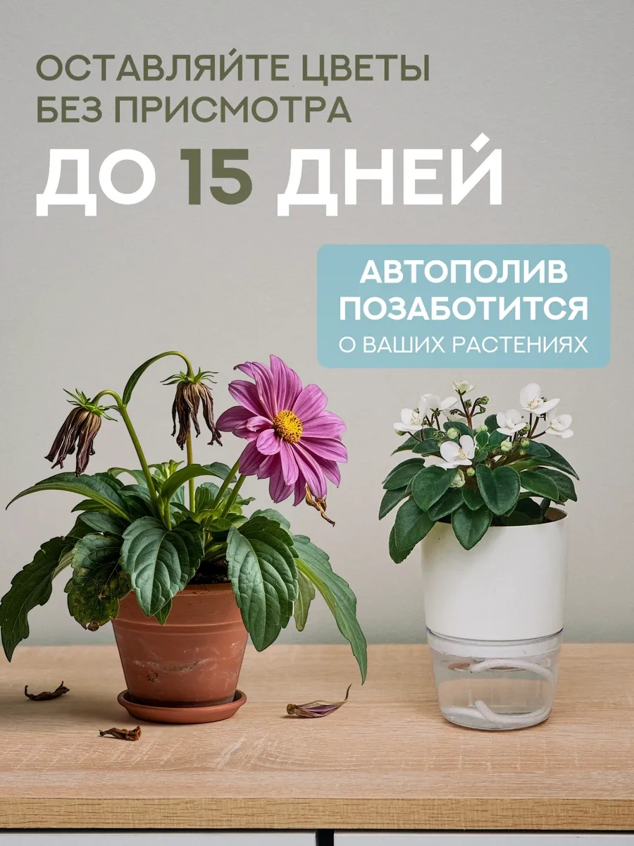 Atari Oda Bitkileri İçin Fitilli Otomatik Sulamalı Saksılar 417382287