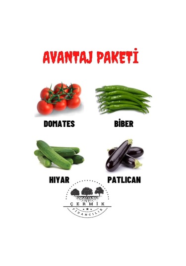Tohum Paketi Domates , Carliston Biber, Hıyar ,patlıcan, 40 Gr