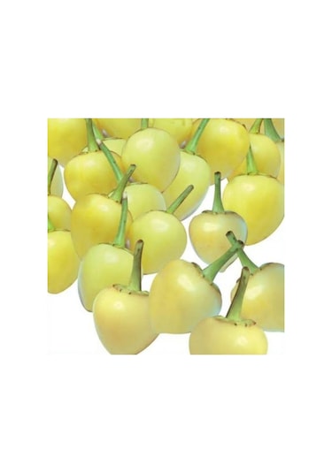 Eko Paket Biberiye Biber Tohumu Fındık Biber Tohumu Misket Biber Tohumu 150 Adet Tohum