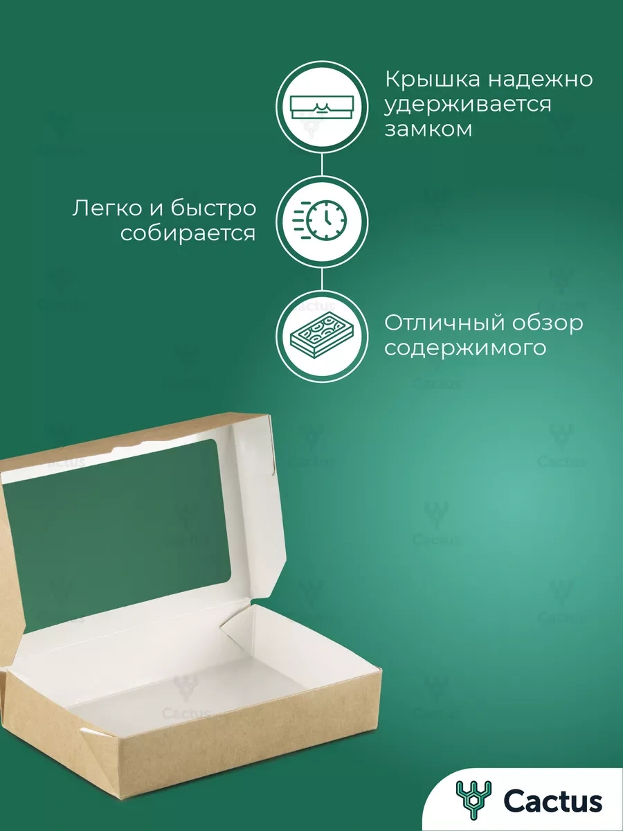 Cactus Kraft Malzemeden Yapılmış Cam Pencereli Hediye Kutusu 19221769