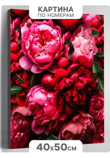 Skola Talantov Tuval Üzerine Numaralı Boyama "renkli Şakayık Çiçekleri" 181073223