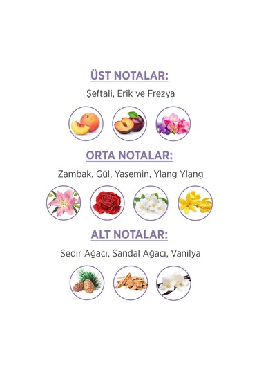 Privacy Kadın Parfüm EDT 50 ML + Emotion Romance Kadın Sprey Deodorant 3 x 150 ML