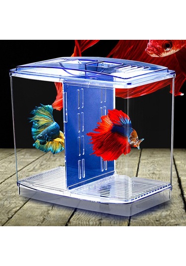 Suntek Masaüstü Ev Yatak Odası Için Küçük Beta Balık