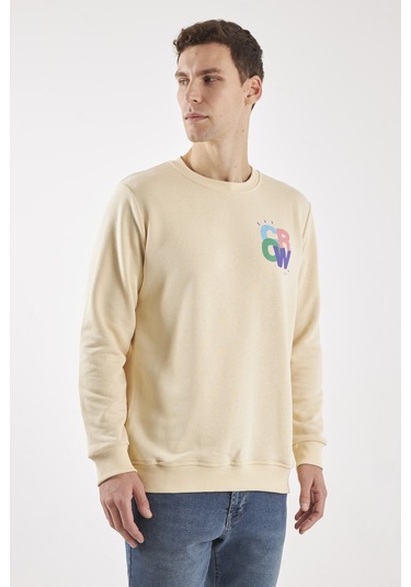 The Colour Ekru O-yaka Sweatshırt Ekru