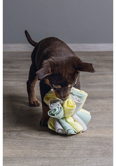 Beeztees Köpek Ödül Saklama Oyuncağı, Top, Polar, Gri/yeşil, 13cm