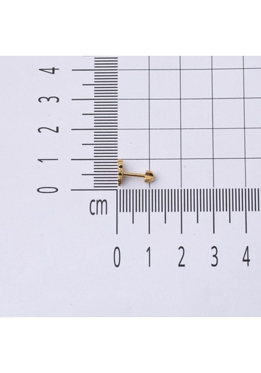 Bilezikci  Minik Kuş 14 Ayar Altın Tragus Küpe Kphss14k22478 Sarı