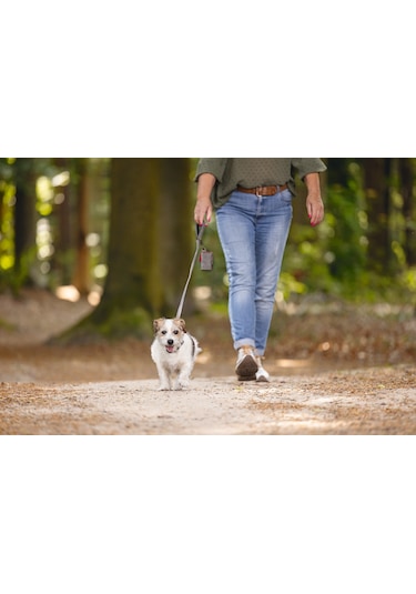 Beeztees Köpek Dışkı Toplama Poşeti Taşıma Çantası, Gri, 8x5x5cm