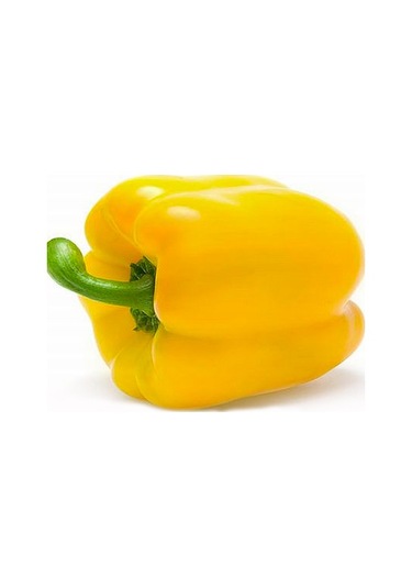 10+ Adet Sarı Renkli Tatlı Kaliforniya Dolmalık Biber Tohumu