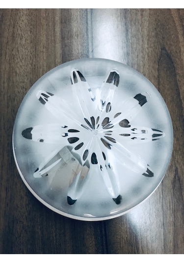 Tavan Glop Armatür E27 Duy Tavan Aplik 23Cm. Şeffaf