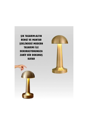 Mantar Masa Lambası Çok Renkli