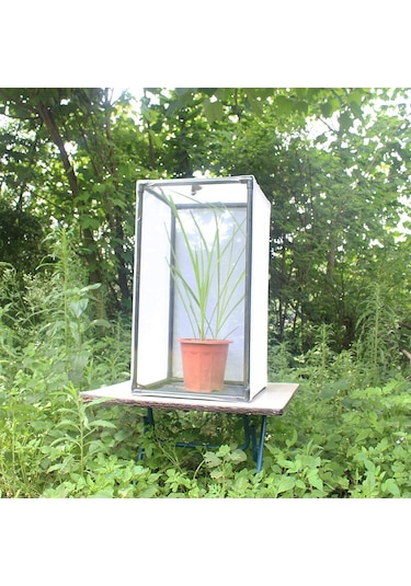 Reedark Pvc Çerçeveli Kelebek/boğağa Kafesi Bitki Ve Böcek Yetiştirme İçin Özel Boyut Oluşturulabilir Dayanıklı Ve Kolay Montajlı