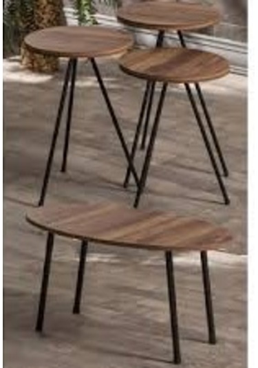 Zigon Sehpa Ve Orta Sehpa Set Metal Elips Ceviz Çok Renkli