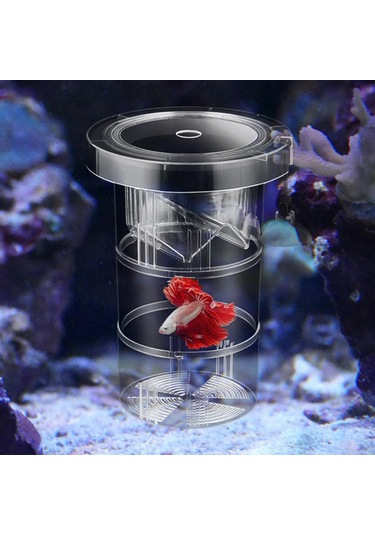 Suntek Yetiştirme Kutusu Odası Tutucu Tankı Bebek 17x12cm