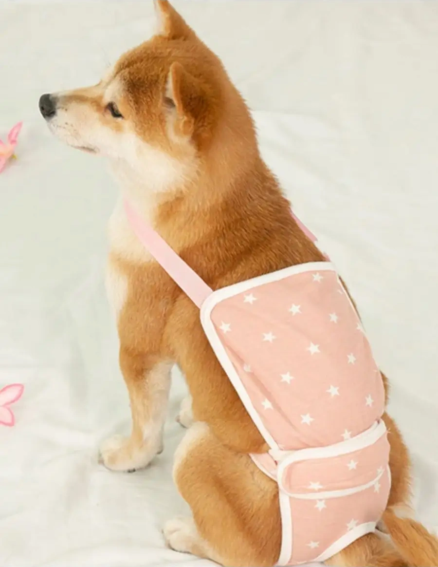 Best Golden Monkey Köpekler İçin Külot 95581082