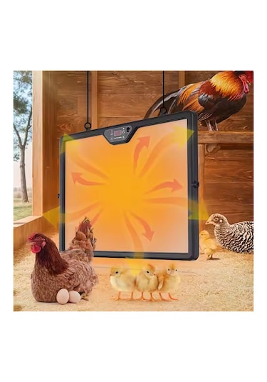 Çift Taraf Isıtma Plaka Kuluçka Makinesi