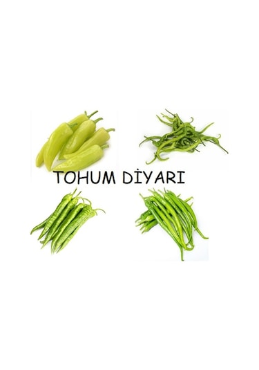 4 Çeşit Biber Tohum Seti 500+ Tohum