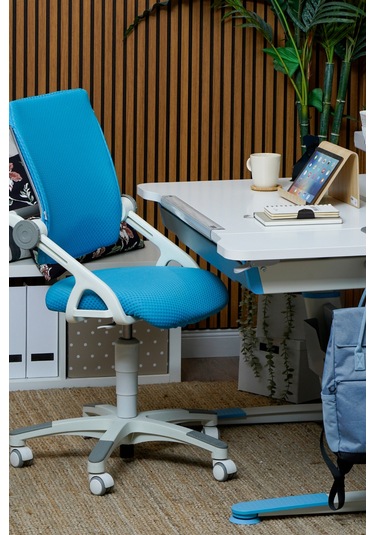 Creo Mobili Yükseklik Ve Sırt Ayarlı Sirius Çalışma Sandalyesi Ofis Ve Bilgisayar Koltuğu Mavi/mavi Gri Creo Mobili Yükseklik Ve Sırt Ayarlı Sirius Çalışma Sandalyesi Ofis Ve Bilgisayar Koltuğu Mavi/mavi Gri