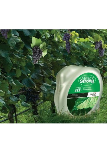 Black Strong Fulvigen Bitkisel Menşeili Sıvı Organik Gübre 20 L
