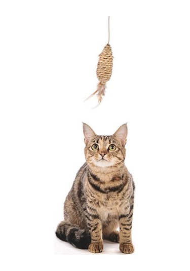 M-pets Natura Olta Kedi Oyuncağı 35 Cm 244-50130.01