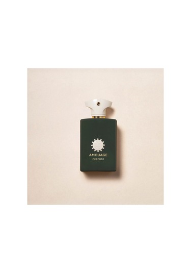Purpose Edp 100ml Diğer