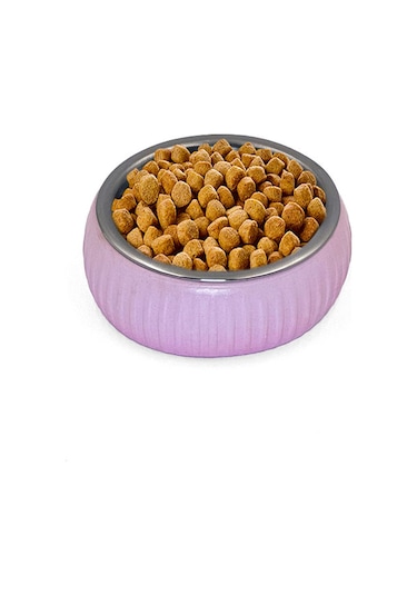 River World 250 Ml'lik Organik Seramik Evcil Hayvan Mama Kabı Pembe Renkte