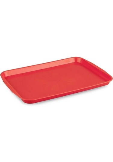 31 41 Abs Plastik Tepsi